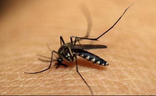 दुनिया भर में मलेरिया के कुल मामलों में से 80 प्रतिशत मामले भारत में: WHO
