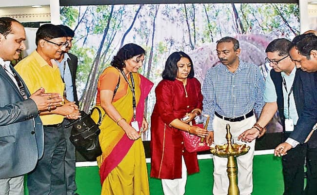 अंतरराष्ट्रीय फिल्म फेस्टिवल के इतिहास में झारखंड पहला फोकस राज्य, फिल्म उद्योग की असीम संभावनाएं