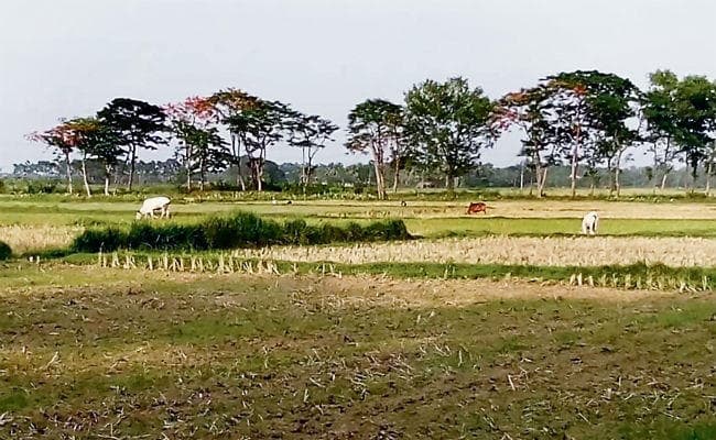 बड़ा फैसला : आवासीय या व्यावसायिक श्रेणी में ही जमीन की होगी रजिस्ट्री, कृषि भूमि का प्रावधान खत्म