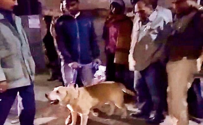 पटना : एनडीआरएफ व एसडीआरएफ ने खड़े किये हाथ, कपड़ा सूंघने के बाद दीपक की तलाश में नाले के पास पहुंचा ”एमबो”