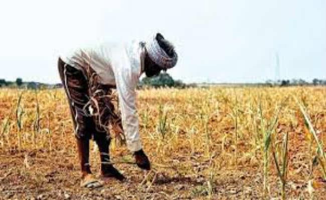 रांची : कृषक समागम में बोले मुख्यमंत्री, 28 लाख किसानों को मोबाइल देगी सरकार