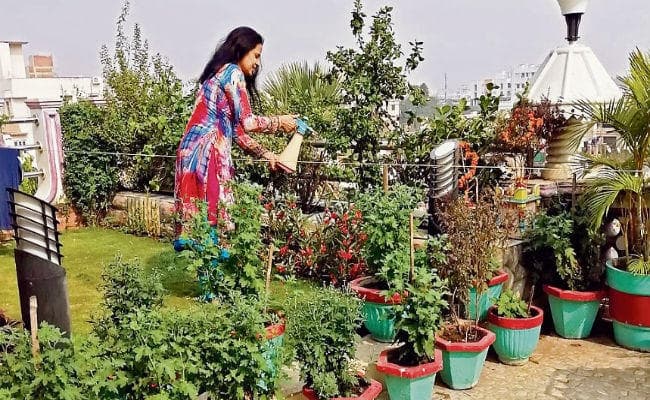 खूबसूरत गार्डन से बढ़ती है बालकनी और घर की रौनक