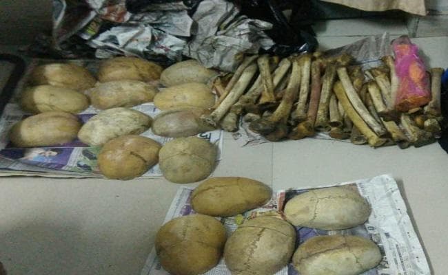 बिहार : बलिया-सियालदह एक्सप्रेस से 50 नरकंकाल के साथ एक तस्कर गिरफ्तार, चीन ले जाने की थी योजना