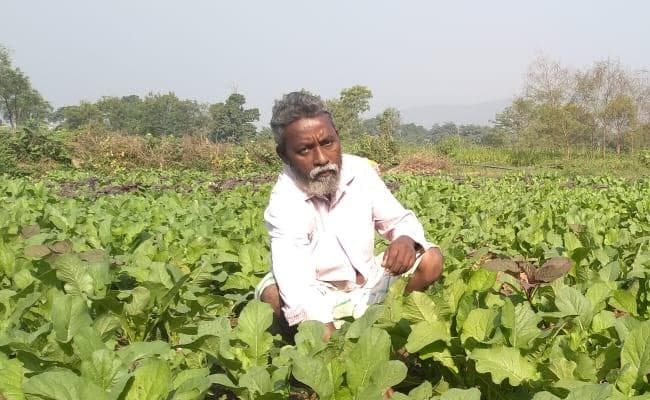 jharkhand@18: इस बार पढ़िए, जैविक खेती से लाखों का मुनाफा कमा रहे नरेश किस्कू की कहानी