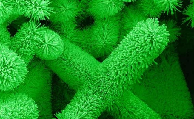 Health News : कैंसर के इलाज में बेहतर साबित हो सकती है नयी नैनो तकनीक