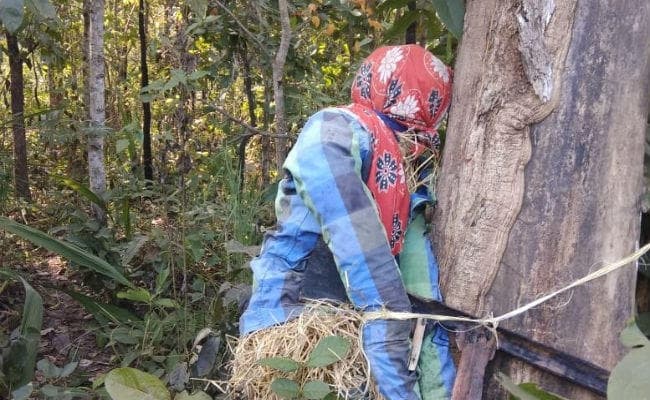 सुरक्षाबलों को निशाना बनाने के लिए माओवादियों ने रची थी बड़ी साजिश लेकिन...