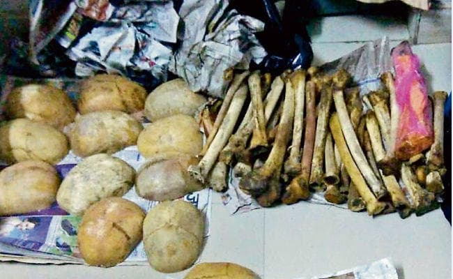 जांच के लिए फोरेंसिक लैब में भेजा जायेगा नर कंकाल