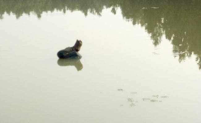 सिमडेगा : दो थानों की सीमा विवाद में डैम में तैरता रहा शव