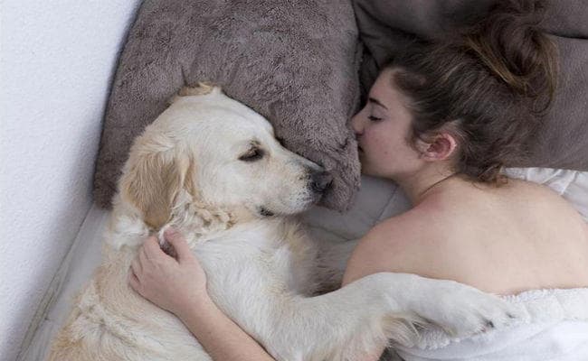 महिलाएं ध्यान दें : बेड पर ''बडी'' नहीं ''डॉगी'' है परफेक्ट पार्टनर, जानें कैसे