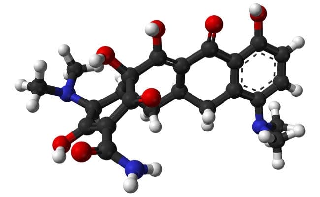 Study : ढलती उम्र में न्यूरोडिजेनेरेटिव बीमारियों से बचा सकती है नयी एंटीबायोटिक