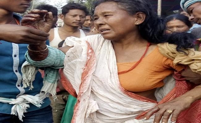अपनी बकरी को बाघिन से छुड़ाने हसुआ लेकर भिड़ गयी महिला और फिर...