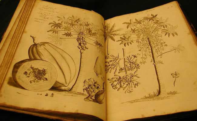 ताकि सेहत रहे चंगी