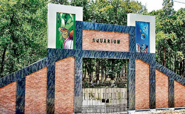 रांची : बिना डीपीआर व इस्टीमेट के ही बनाया जू में एक्वेरियम