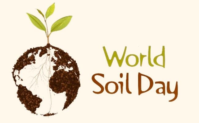 विश्व मृदा दिवस : बंजर हो रही है मिट्टी, बचाने के लिए करने होंगे ये काम