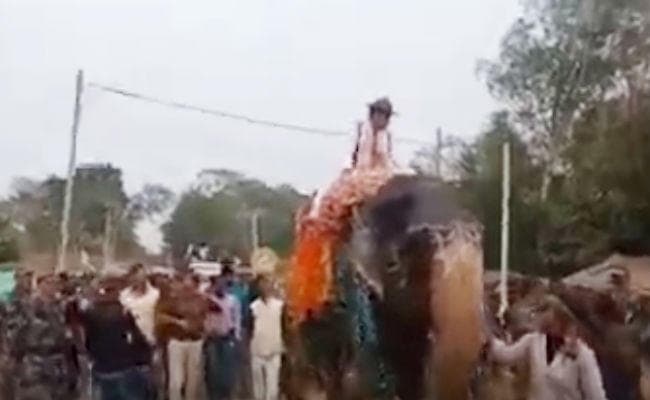 जब हाथी पर सवार होकर पुल का शिलान्यास करने पहुंचे कृषि मंत्री रणधीर सिंह, देखें VIDEO