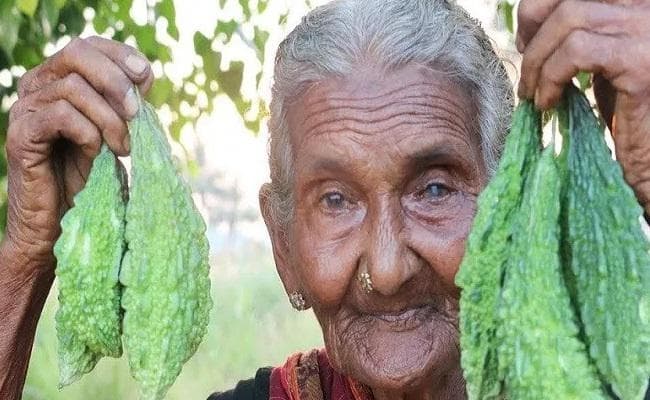 खेतों में चूल्हे पर खाना पकाकर YouTube से मशहूर हुई 107 साल की ''मस्तनम्मा'' नहीं रहीं