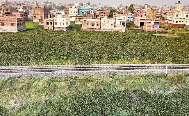 भूमि विवादों को सुलझाने के लिए एक्शन में बिहार सरकार