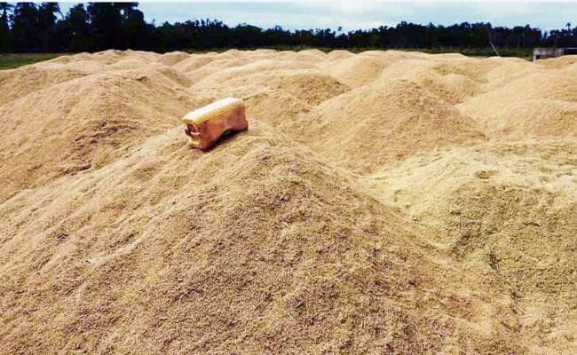 पटना : जल्द बढ़ सकती है धान खरीद में नमी की मात्रा