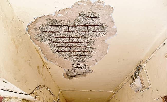 धनबाद :  जर्जर स्थिति झेल रहा है जिला पशुपालन कार्यालय, छत से गिर रहा प्लास्टर हो सकती है दुर्घटना