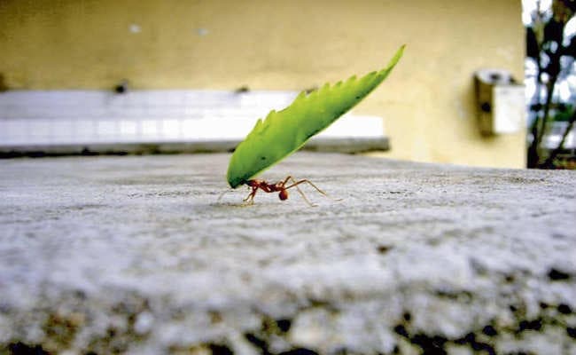 हर समस्या में छिपा है एक अवसर