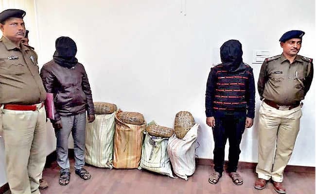 रांची  :  20 लाख के गांजा के साथ महिला सहित तीन गिरफ्तार