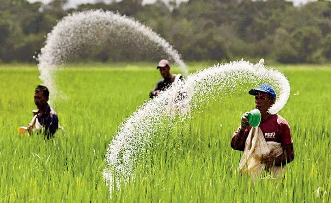बिहार के किसानों के लिए सरकारी दर पर आया यूरिया पहुंच रहा नेपाल के बाजारों में