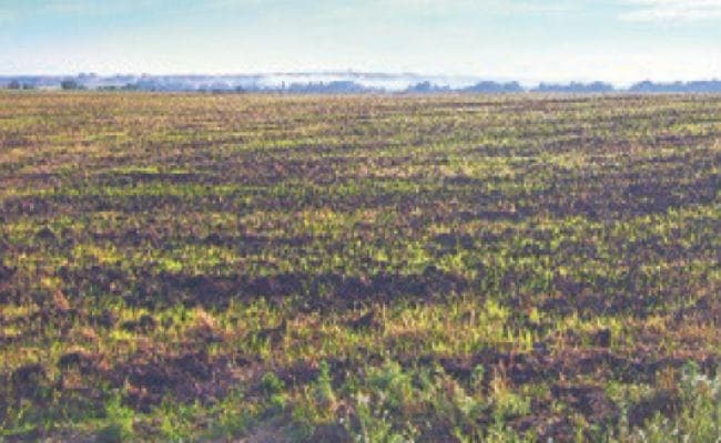 पटना : जमीन अधिग्रहण में अब दूरी पर मिलेगा मुआवजा