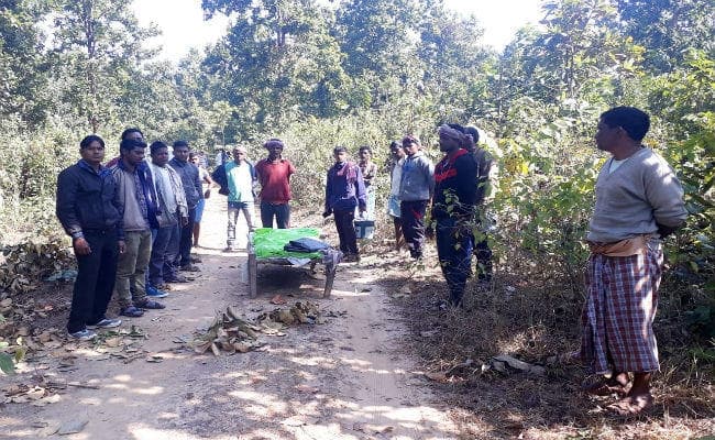 खरसावां : दामाद के घर से लौट रहा था अधेड़, जंगली हाथी ने पटक-पटक कर मार डाला