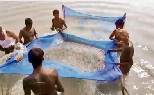 सुपौल : दो साल में चुकाया लोन, हर साल 40 लाख की होती है कमाई