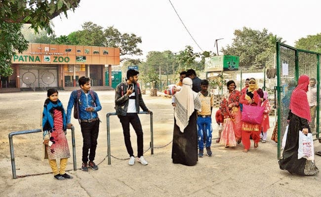 पटना : जू के पशुपालक व डॉक्टर को बर्ड फ्लू का खतरा, जानें लक्षण, ऐसे रहें सावधान