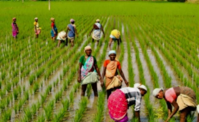 इजरायल दौरे पर जायेंगी सूबे की 32 महिला कृषक