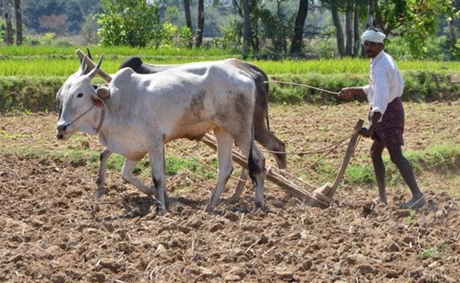 लोकसभा चुनावों से पहले किसानों को नये साल का तोहफा देने की तैयारी