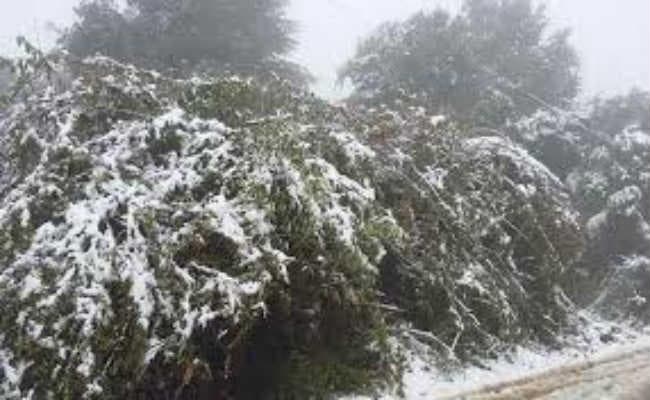 सिलीगुड़ी : पहाड़ पर बर्फबारी, शहर में कनकनी