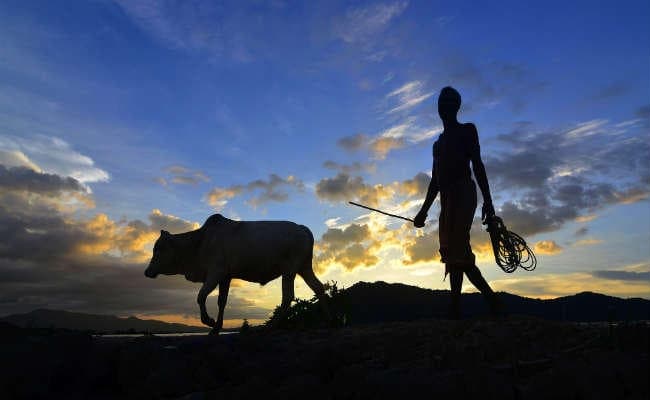 भू-जल की कमी से जूझ रहे बिहार के किसान, मुनाफा कम और बढ़ रही खेती की लागत