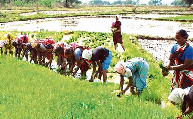 कृषि विभाग: कटेंगी कई योजनाएं, कुछ की राशि भी घटेगी