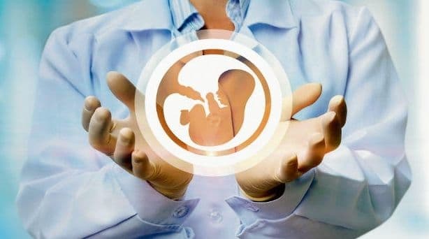 कोविड-19 वैक्सीन लेने के बाद कम-से-कम दो माह तक ना करें गर्भधारण, हो सकता है भ्रूण को नुकसान