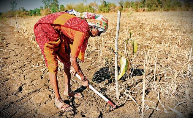 वर्षारंभ 2018 : बहुत कठिन है खेती की राह..जानिए कैसे