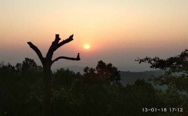 ग्राउंड रिपोर्ट : कुछ दिन तो गुजारिए नेतरहाट में, हो जाएंगे तंदुरुस्त, बढ़ जाएगी उम्र