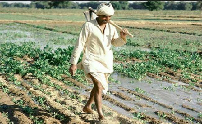 शोर ज्यादा, मतलब की बातें कम