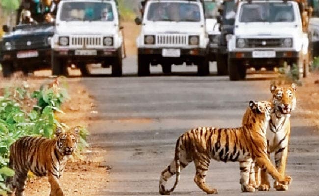 वाल्मीकि टाइगर रिजर्व की तरह विकसित होगा मुंगेर वन्यजीव अभ्यारण्य, पर्यटक ले पायेंगे सफारी का आनंद