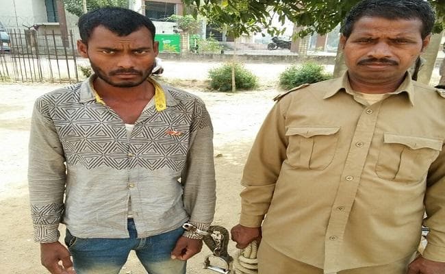 पत्नी की बेरहमी से की पिटाई, फिर गुस्से में दांत से होंठ काट किया अलग