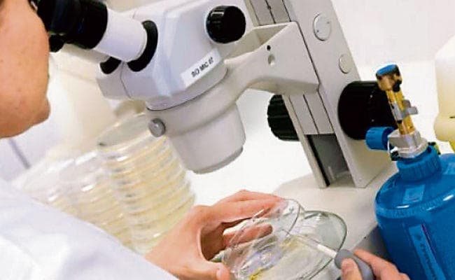 लैब में तैयार हो रहे हैं ये इंसानी अंडे