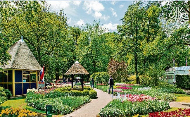 श्रीनगर के ट्यूलिप गार्डन की सैर