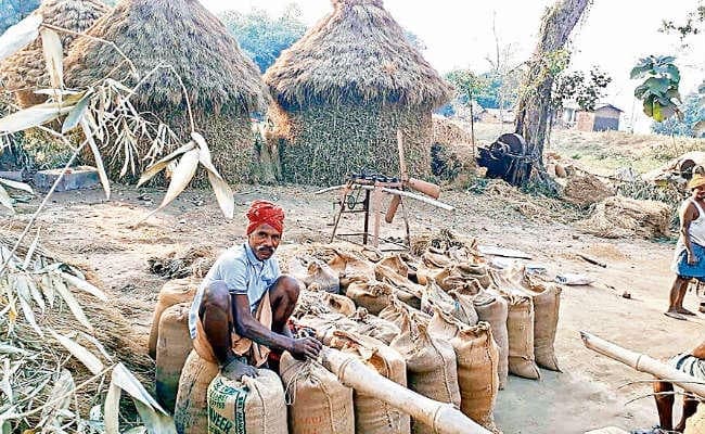 बिहार : धान की खरीद बंद होने से किसानों में मचा हाहाकार