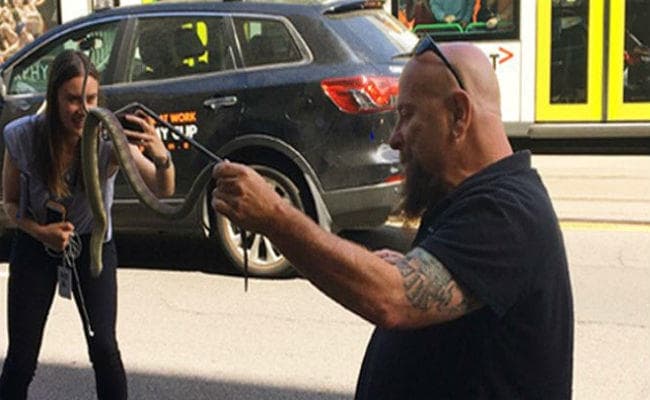 IN PICS : सड़क पर घूम रहा था यह जहरीला सांप, लोगों ने देखा और...