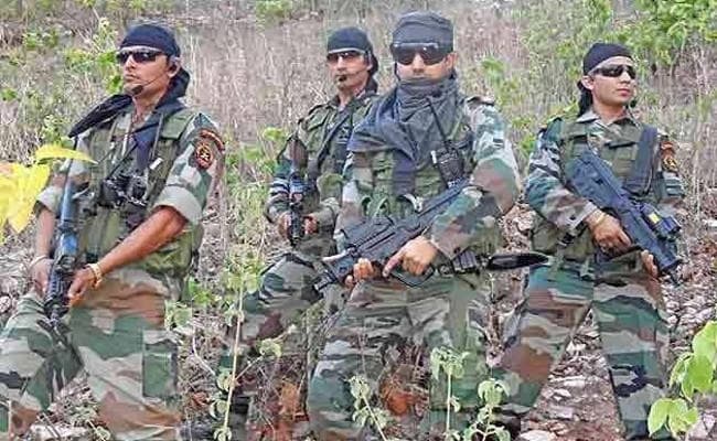 झारखंड : मुठभेड़ में दो टॉप माओवादी कमांडर समेत चार नक्सली ढेर, देखें VIDEO