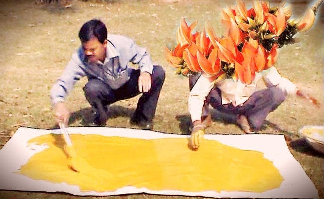 होली पर लगेंगे केमिकल रहित पलाश के रंग.....जानें