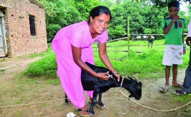 अपने हुनर को निखार बड़े सपने को पूरा करतीं ग्रामीण महिलाएं