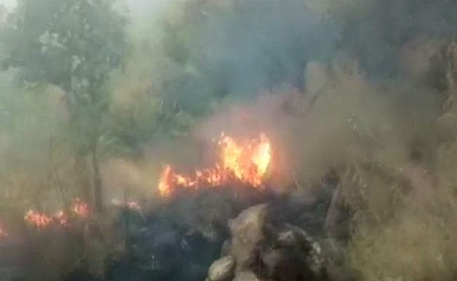 तमिलनाडु : जंगल की आग में फंसे 25 कॉलेज छात्र, एयर फोर्स ने 12 को सुरक्षित बाहर निकाला