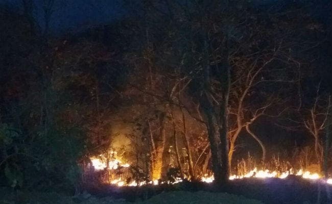 बड़कागांव के जंगलों में लगी है आग, कीमती पेड़-पौधे व वन्यजीवों का जीवन खतरे में